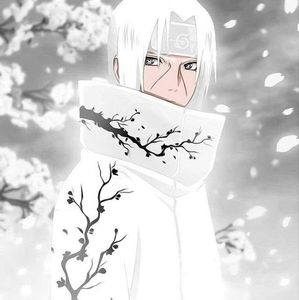 Meet your Posher, Marcus